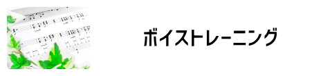 ボイストレーニング